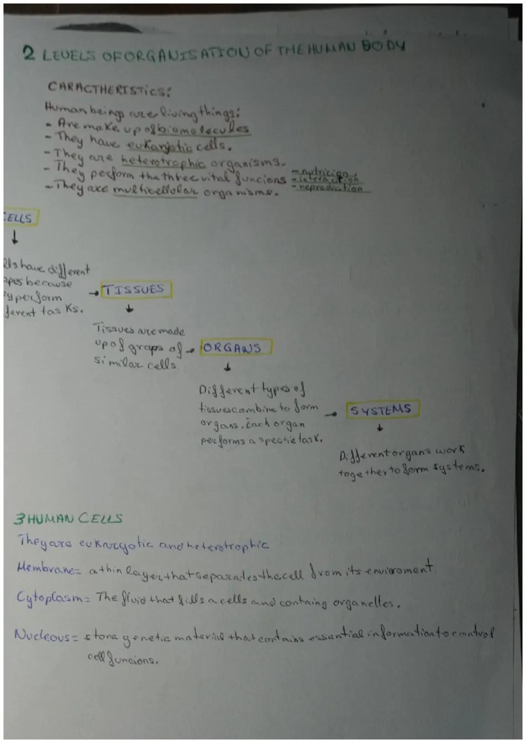 The organisation of the human body

Unit content:
*   Levels of organisation of living things
*   Levels of organisation of the human body
*