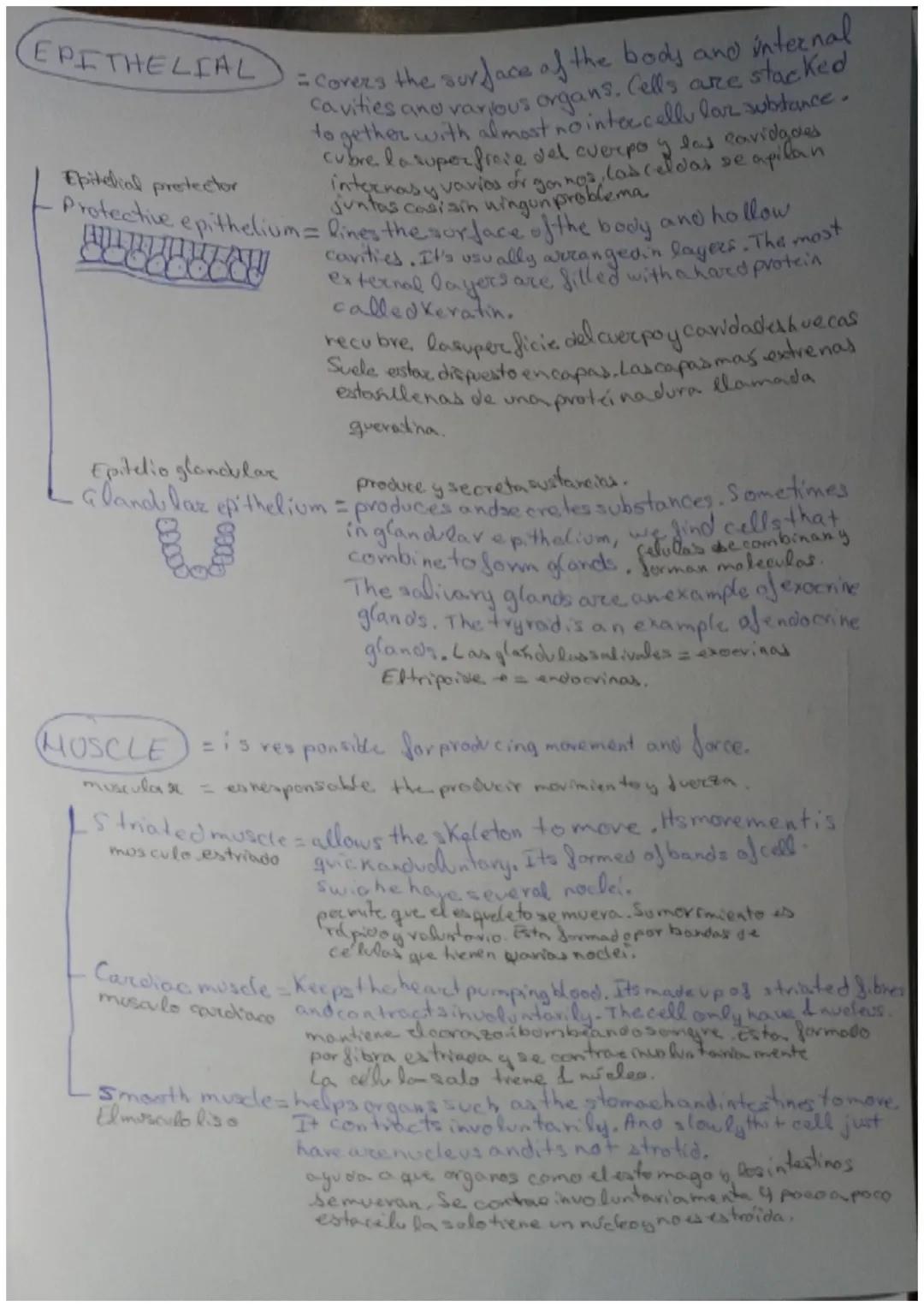 The organisation of the human body

Unit content:
*   Levels of organisation of living things
*   Levels of organisation of the human body
*