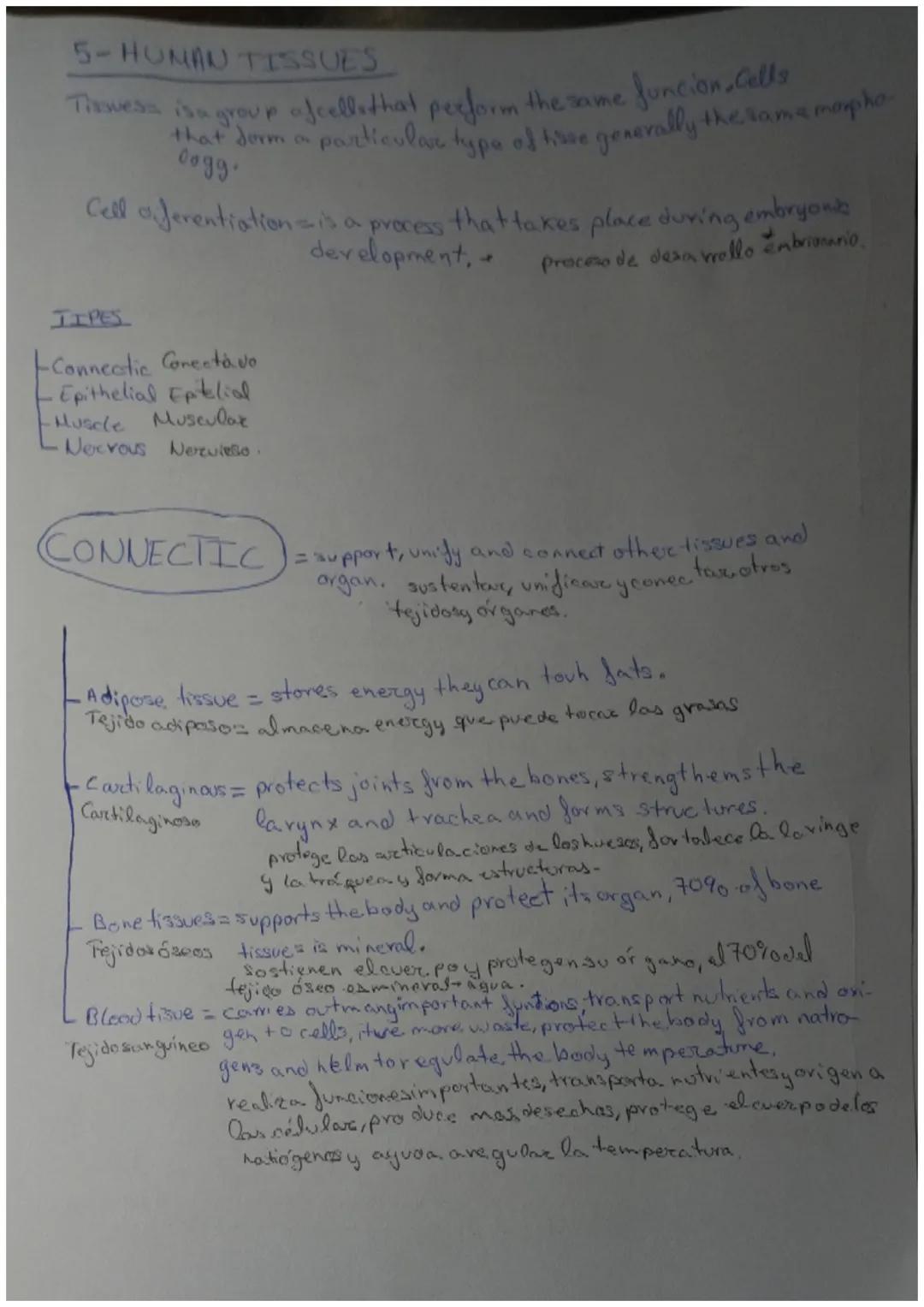 The organisation of the human body

Unit content:
*   Levels of organisation of living things
*   Levels of organisation of the human body
*