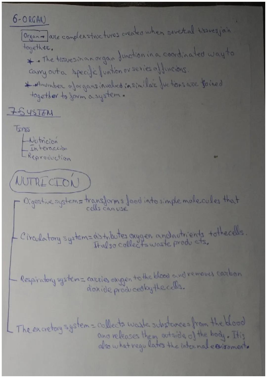 The organisation of the human body

Unit content:
*   Levels of organisation of living things
*   Levels of organisation of the human body
*