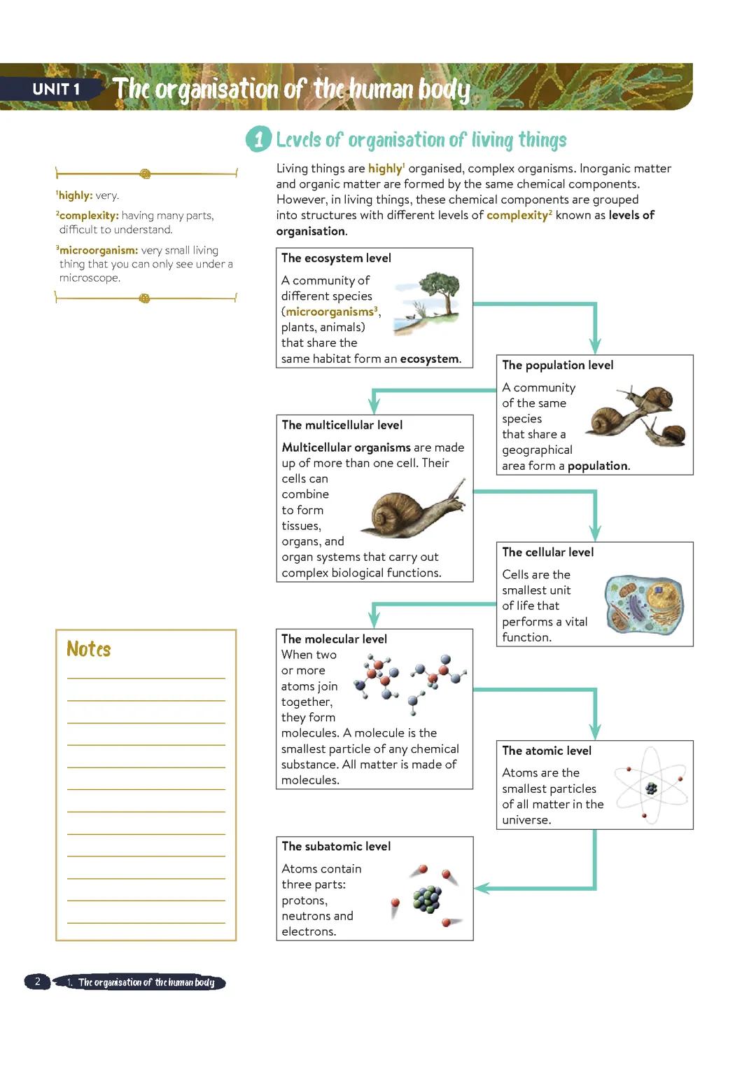 Resúmen Completo Tema 1 Biología
