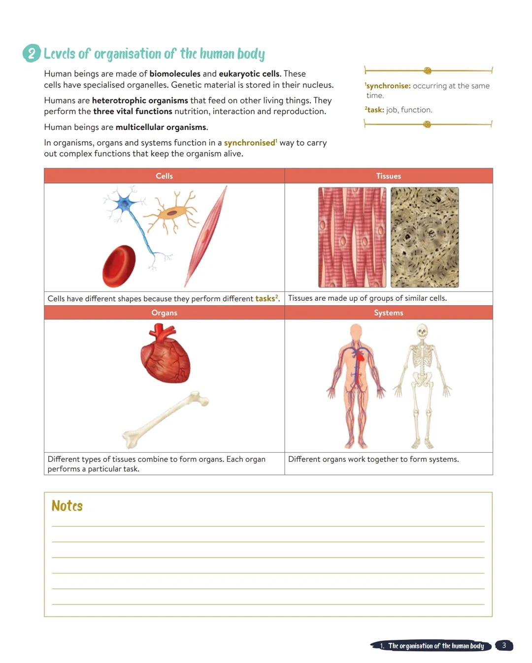UNIT 1
The organisation of the human body
'highly: very.
2complexity: having many parts,
difficult to understand.
3microorganism: very small