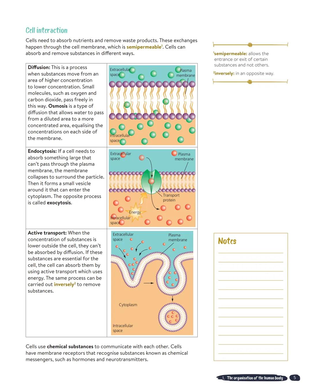 UNIT 1
The organisation of the human body
'highly: very.
2complexity: having many parts,
difficult to understand.
3microorganism: very small
