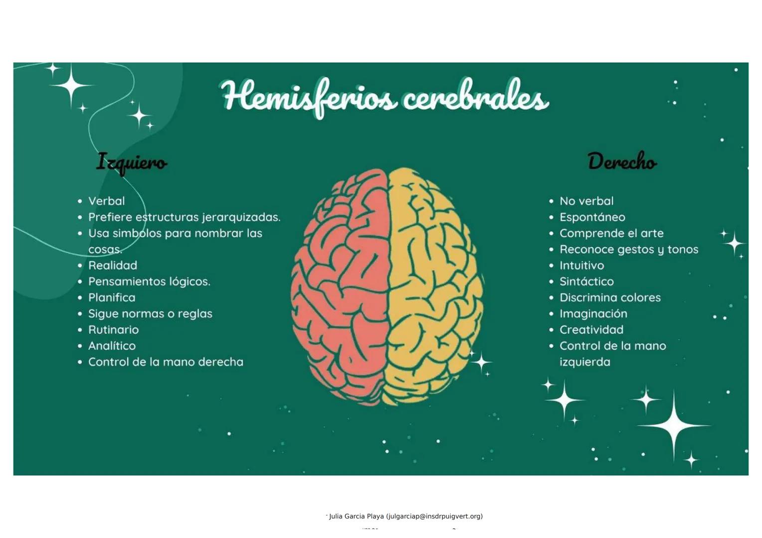 Bases biológicas de la conducta
• NEURONA: Unidad fundamental del S.N.
SINAPSIS: Comunicación entre neuronas (red de neuronas).
• IMPULSO NE