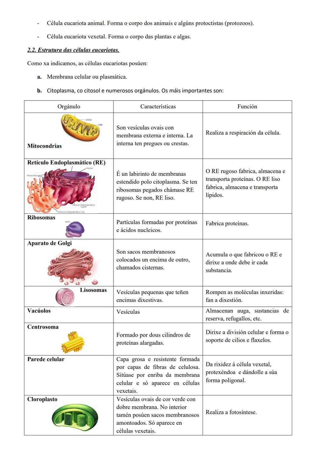 # TEMA 1. A ORGANIZACIÓN DO CORPO HUMANO.

1. INTRODUCIÓN.

Os seres humanos somos seres vivos porque levamos a cabo tres funcións vitais bá