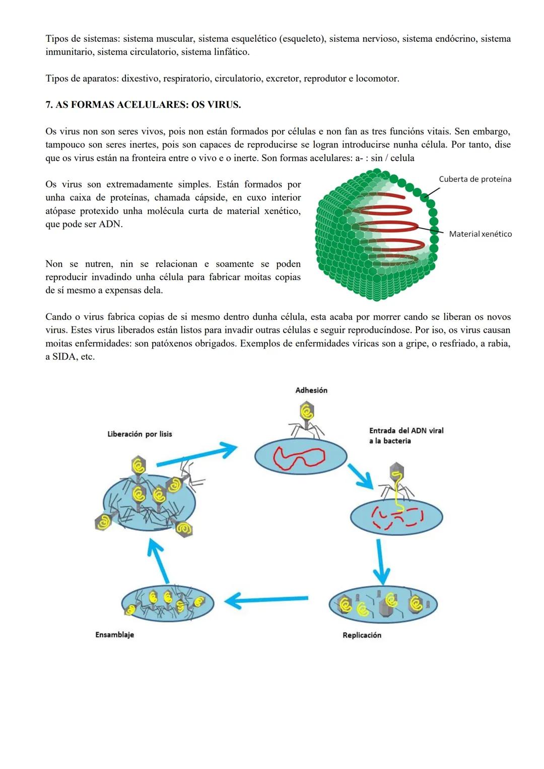 # TEMA 1. A ORGANIZACIÓN DO CORPO HUMANO.

1. INTRODUCIÓN.

Os seres humanos somos seres vivos porque levamos a cabo tres funcións vitais bá