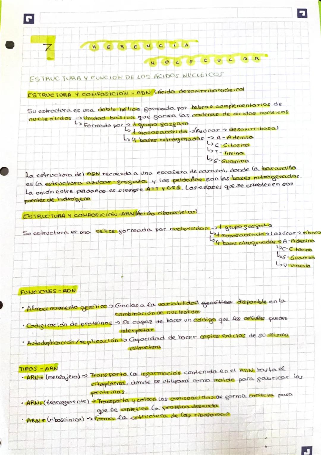 7
H
ER
E
2
H
C
LAR
ESTRUCTURA Y FUNCIÓN DE LOS ÁCIDOS NUCLEICOS
ESTRUCTURA Y COMPOSICIÓN - ADN (Ácido desoxirribonucleical
Su estructura es 