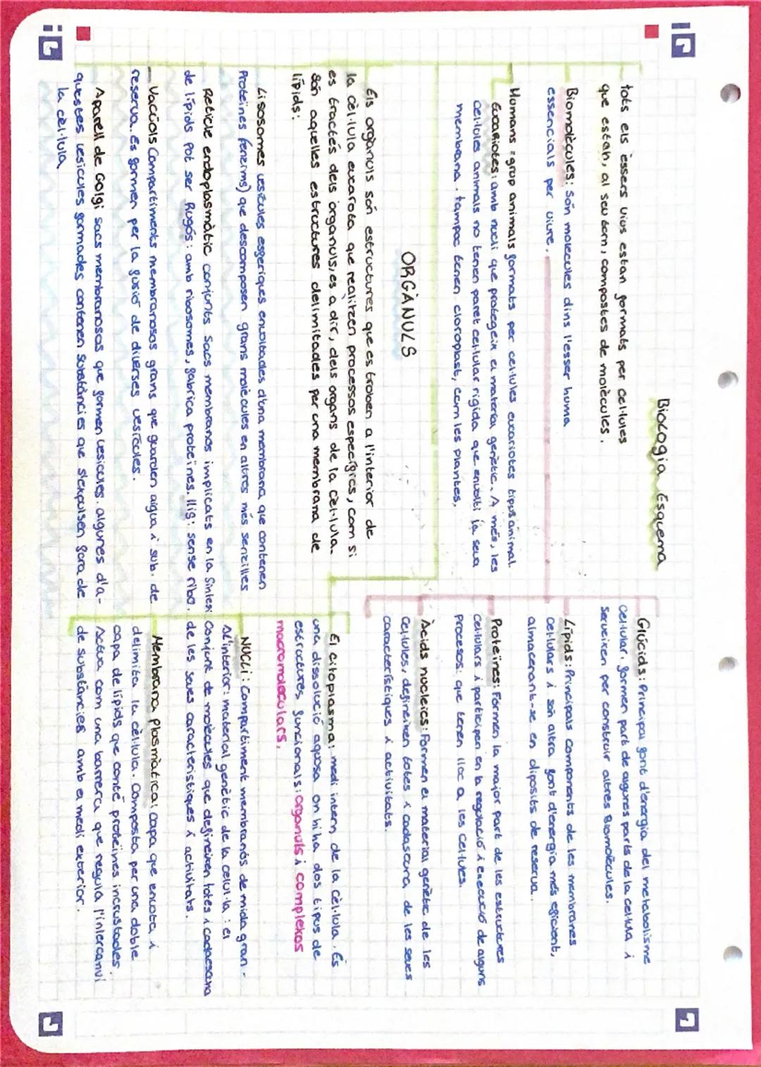# Biocogia Esquema

tots els éssers vius estan formats per cellules
que estah, al seu corn, compostes de molècules.

Biomolècules: Són molec