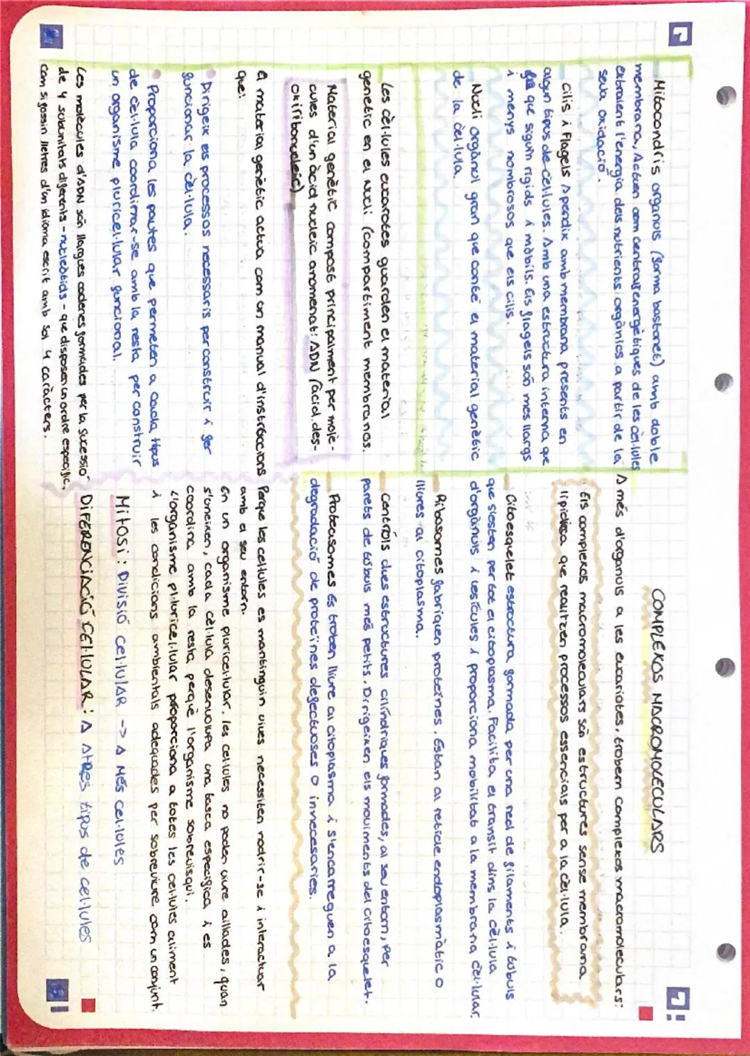 # Biocogia Esquema

tots els éssers vius estan formats per cellules
que estah, al seu corn, compostes de molècules.

Biomolècules: Són molec