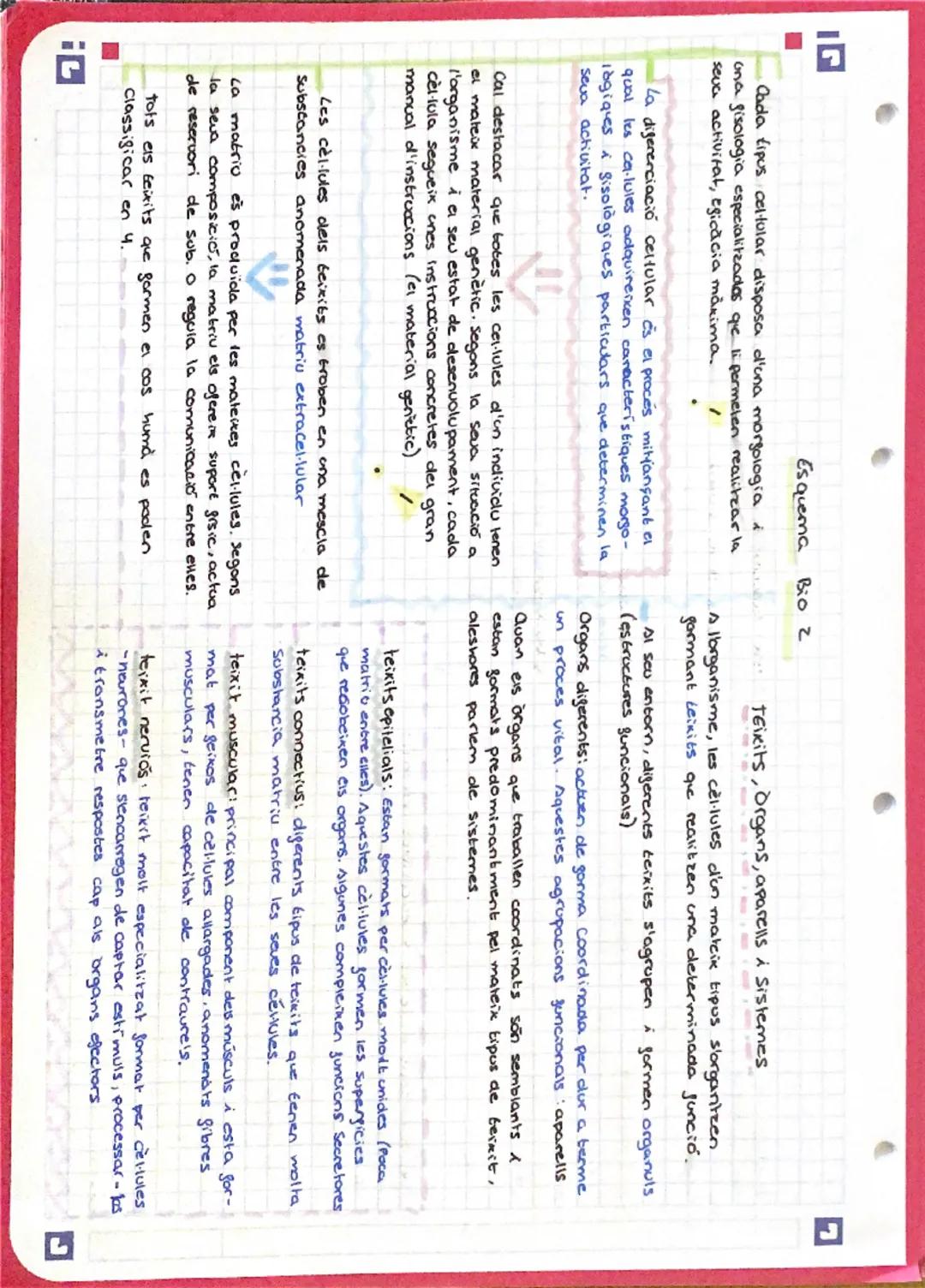 # Biocogia Esquema

tots els éssers vius estan formats per cellules
que estah, al seu corn, compostes de molècules.

Biomolècules: Són molec