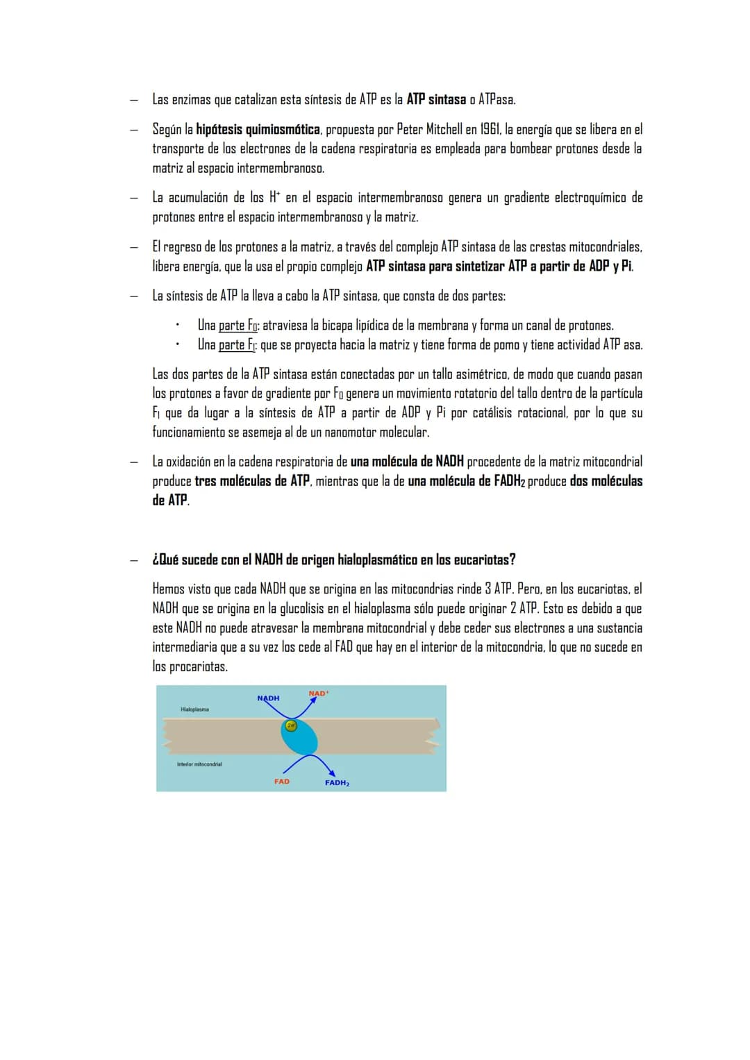 EL METABOLISMO
1. El metabolismo
1.1. Definición
1.2. Funciones
1.3. Clasificación de los seres vivos en función de los tipos de metabolismo