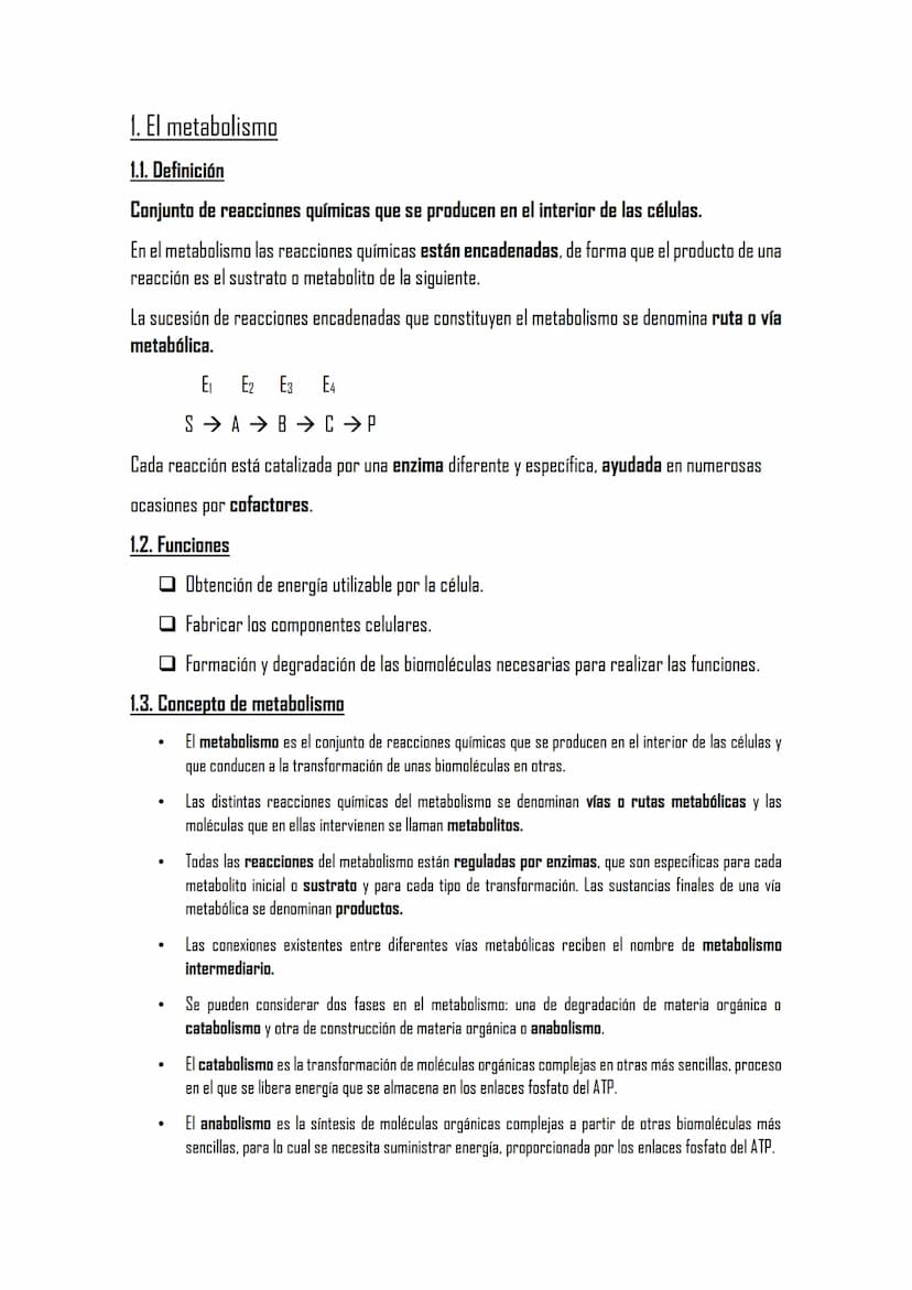 EL METABOLISMO
1. El metabolismo
1.1. Definición
1.2. Funciones
1.3. Clasificación de los seres vivos en función de los tipos de metabolismo