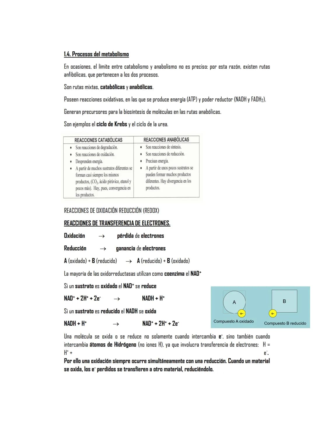 EL METABOLISMO
1. El metabolismo
1.1. Definición
1.2. Funciones
1.3. Clasificación de los seres vivos en función de los tipos de metabolismo