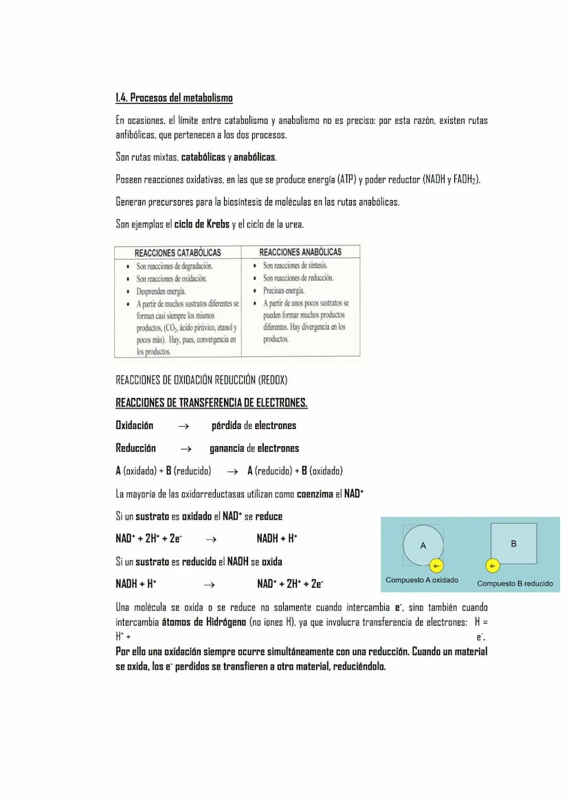 EL METABOLISMO
1. El metabolismo
1.1. Definición
1.2. Funciones
1.3. Clasificación de los seres vivos en función de los tipos de metabolismo