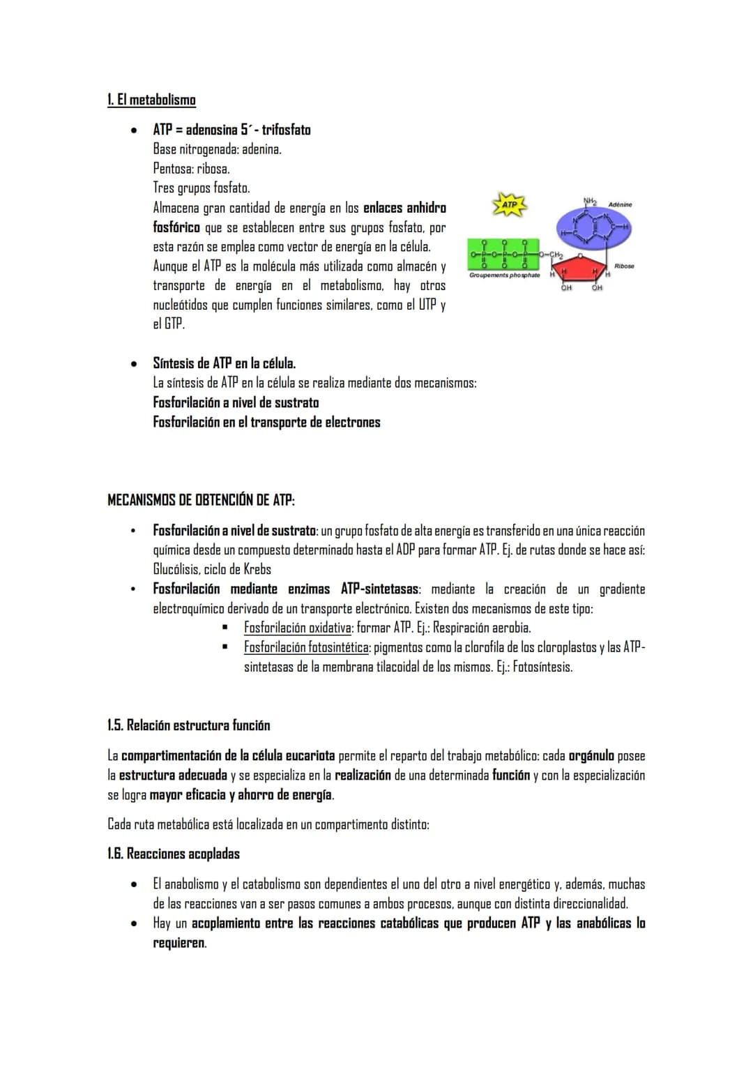 EL METABOLISMO
1. El metabolismo
1.1. Definición
1.2. Funciones
1.3. Clasificación de los seres vivos en función de los tipos de metabolismo