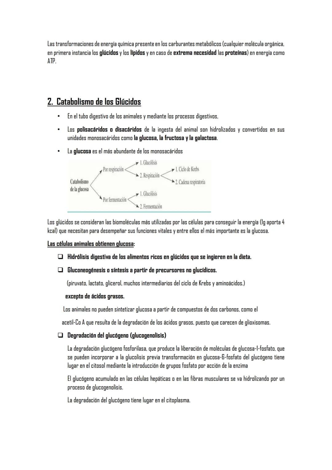 EL METABOLISMO
1. El metabolismo
1.1. Definición
1.2. Funciones
1.3. Clasificación de los seres vivos en función de los tipos de metabolismo