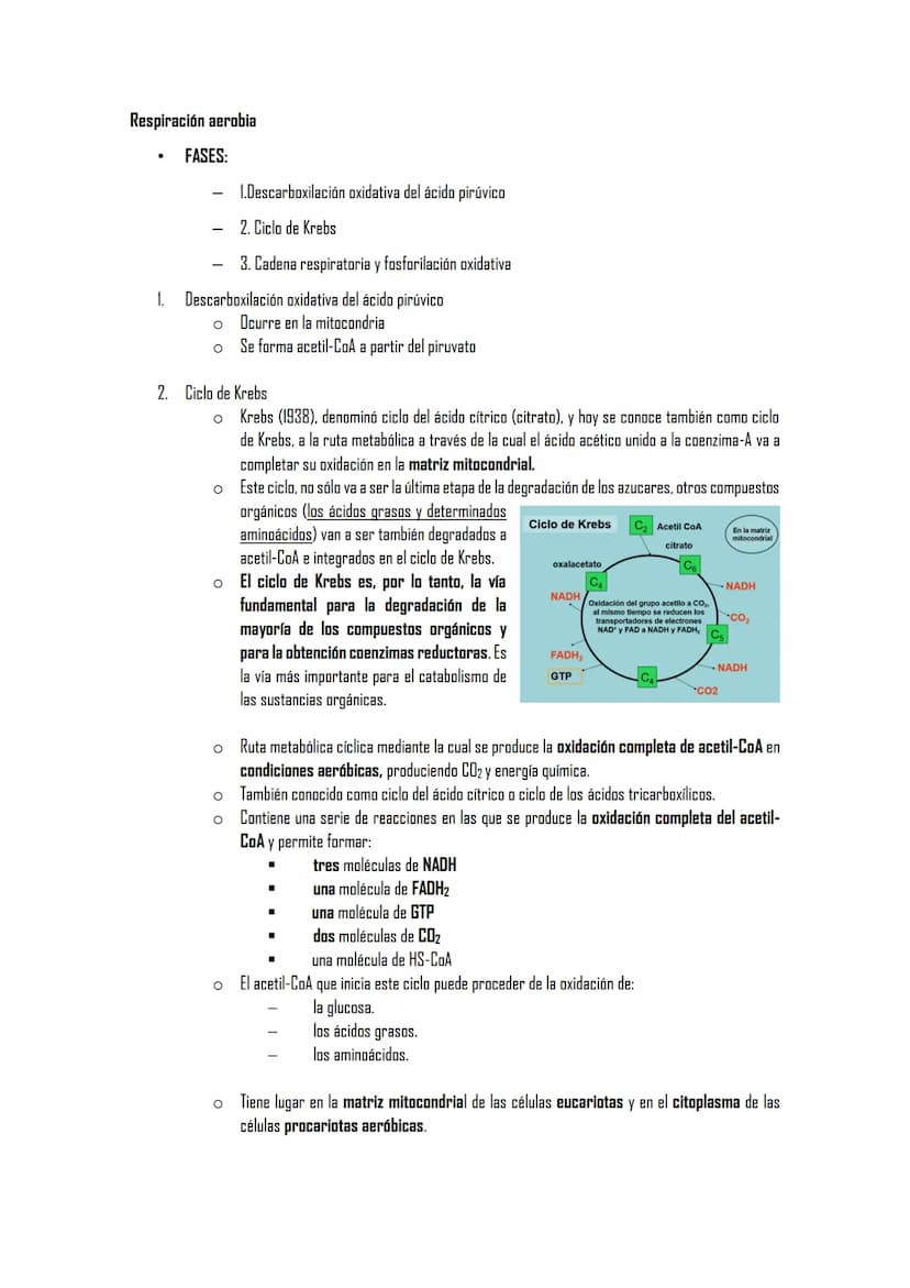 EL METABOLISMO
1. El metabolismo
1.1. Definición
1.2. Funciones
1.3. Clasificación de los seres vivos en función de los tipos de metabolismo