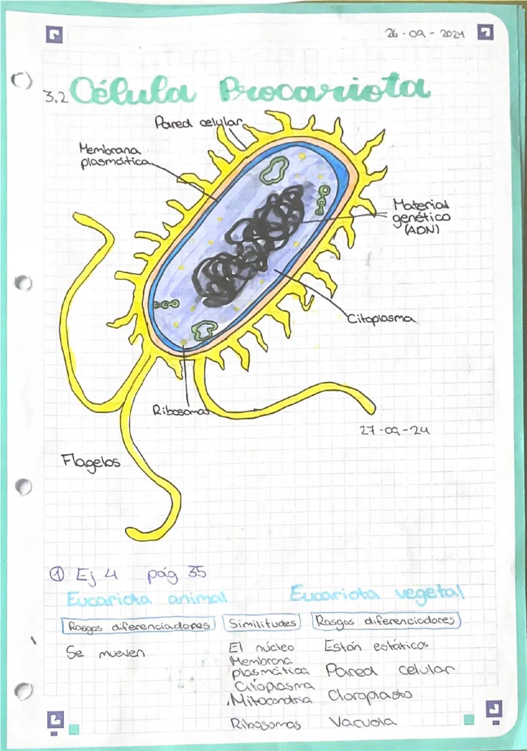 C
# Exámen
# Biologia

1. Subsistemas
   * Biosfera
   * Hidroesfera
Todas tienen relación $\rightarrow$ Geosfera
con todas
   * Atmósfera

