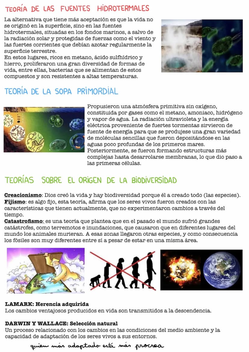 UDI 3: EL ORIGEN DE LA VIDA
ESPONTÁNEA
TEORÍAS: LA GENERACIÓN
Experimento de Redi
Experimento de Redi:
Redi trataba de demostrar que la vida