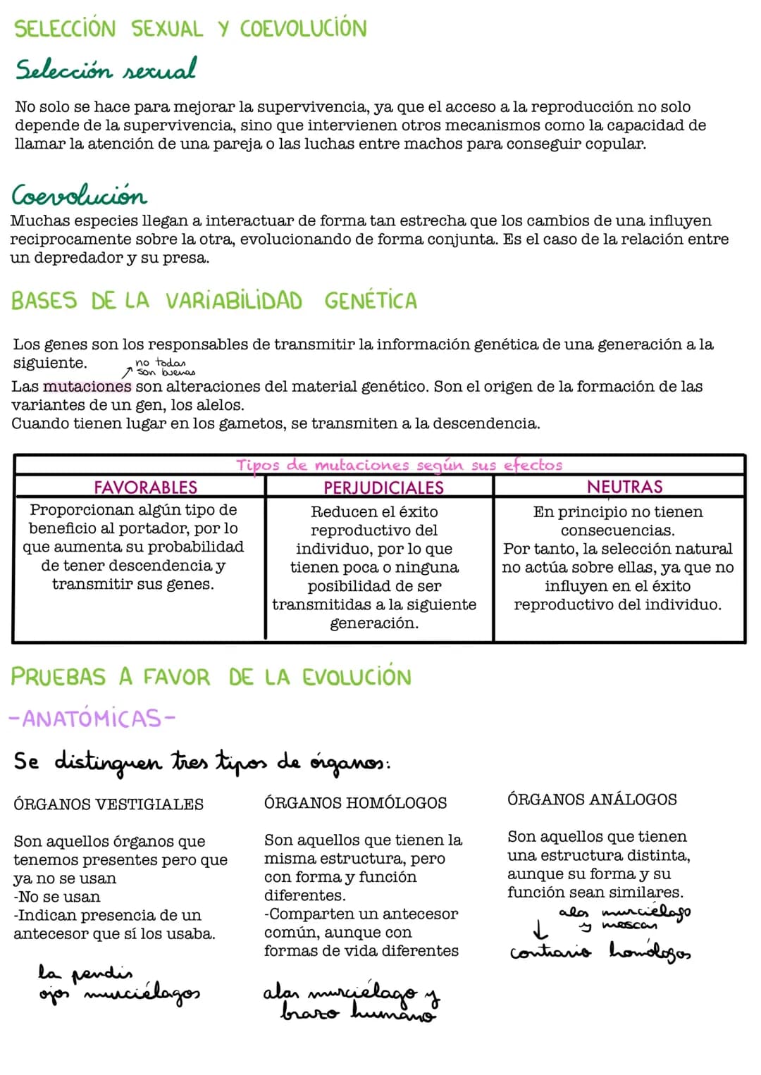 UDI 3: EL ORIGEN DE LA VIDA
ESPONTÁNEA
TEORÍAS: LA GENERACIÓN
Experimento de Redi
Experimento de Redi:
Redi trataba de demostrar que la vida