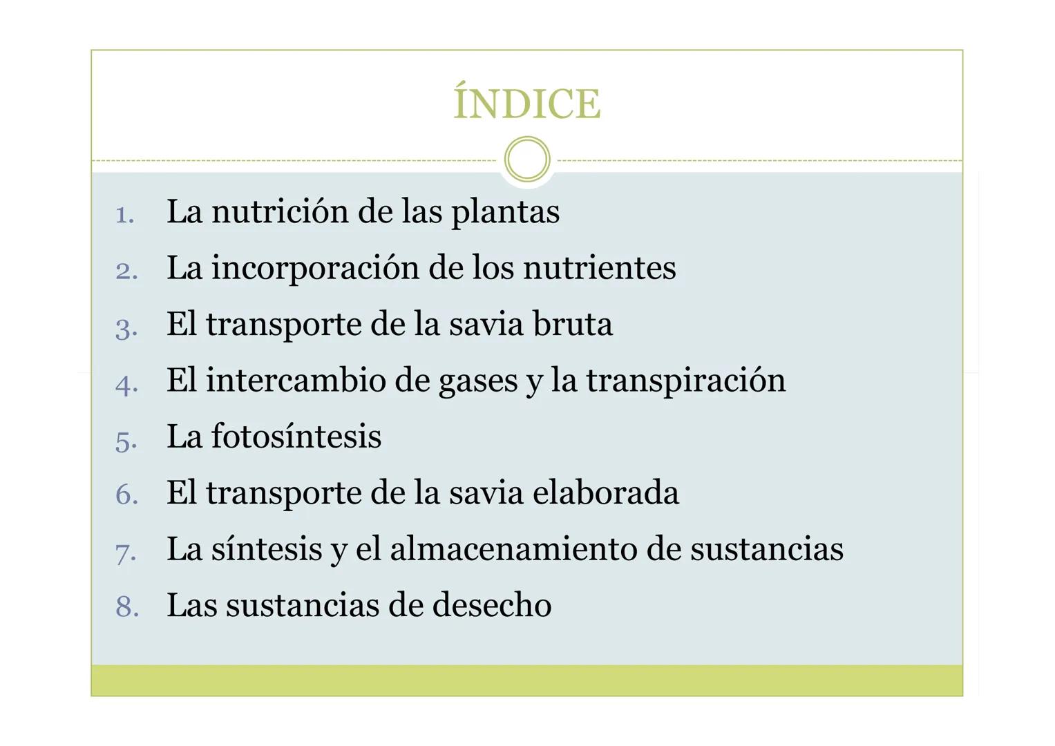 # TEMA 5. LA NUTRICIÓN DE
LAS PLANTAS

BIOLOGÍA, GEOLOGÍA Y CIENCIAS
AMBIENTALES ÍNDICE

1. La nutrición de las plantas
2. La incorporación 