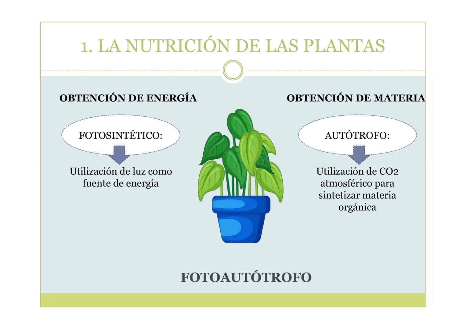 # TEMA 5. LA NUTRICIÓN DE
LAS PLANTAS

BIOLOGÍA, GEOLOGÍA Y CIENCIAS
AMBIENTALES ÍNDICE

1. La nutrición de las plantas
2. La incorporación 