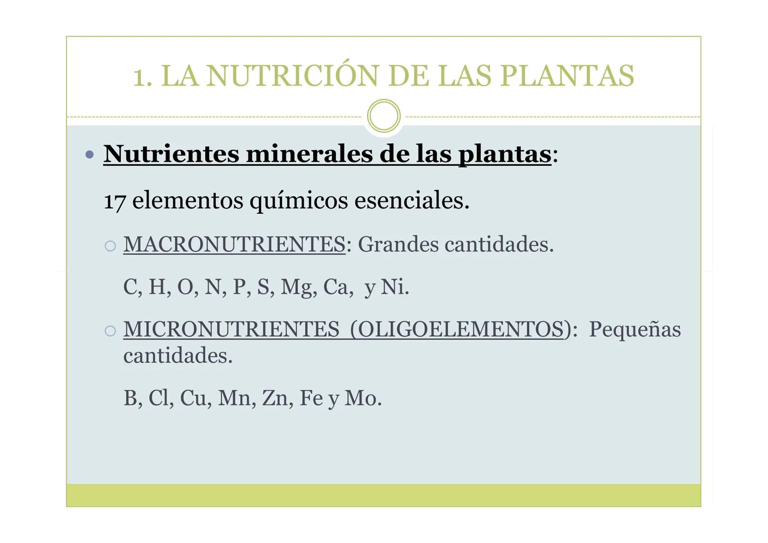 # TEMA 5. LA NUTRICIÓN DE
LAS PLANTAS

BIOLOGÍA, GEOLOGÍA Y CIENCIAS
AMBIENTALES ÍNDICE

1. La nutrición de las plantas
2. La incorporación 