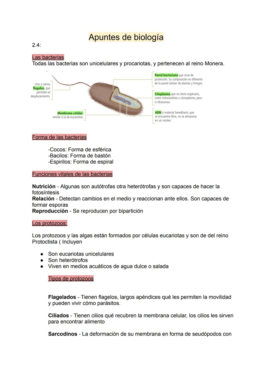 <h2 id="reinomoneracaractersticas">Reino Monera: Características</h2>
<p>Las bacterias son organismos unicelulares y procariotas que pertene
