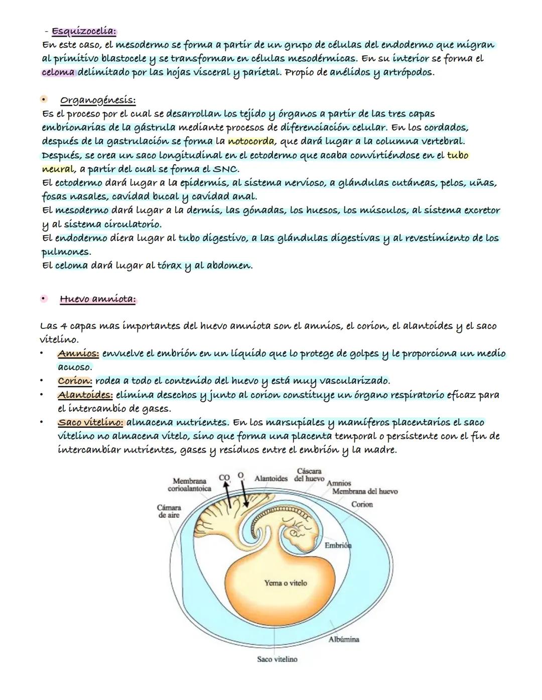 # Sistema Reproductor

Para asegurar la perpetuación de la especie, los individuos utilizan la función de reproducción,
que es el conjunto d