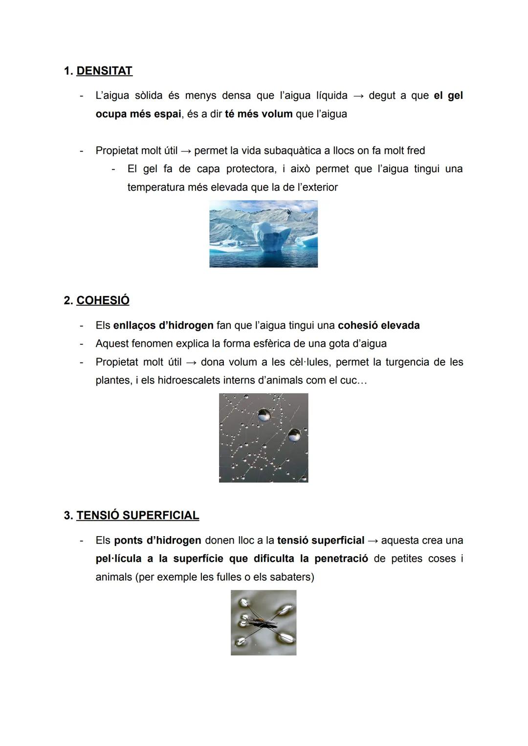 PROPIETATS DE L'AIGUA
Apunts de: 1r de Batxillerat científic
Assignatura: Biologia
Curs: 2022/2023 ÍNDEX
1. DENSITAT..
2. COHESIÓ.
3. TENSIÓ
