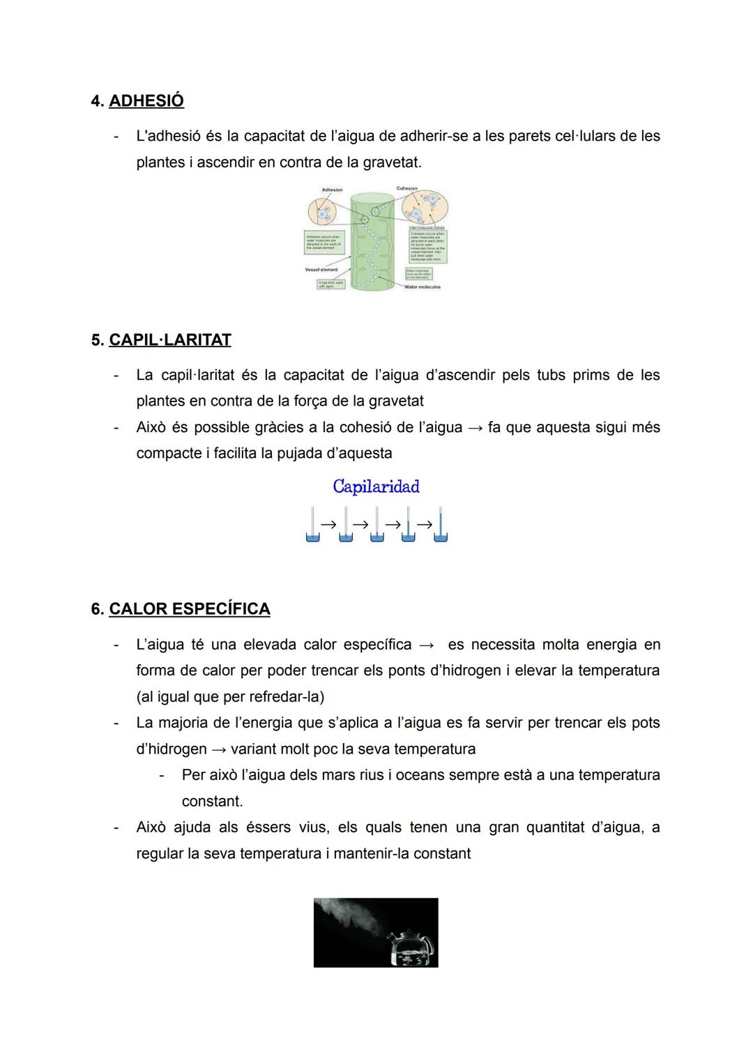 PROPIETATS DE L'AIGUA
Apunts de: 1r de Batxillerat científic
Assignatura: Biologia
Curs: 2022/2023 ÍNDEX
1. DENSITAT..
2. COHESIÓ.
3. TENSIÓ