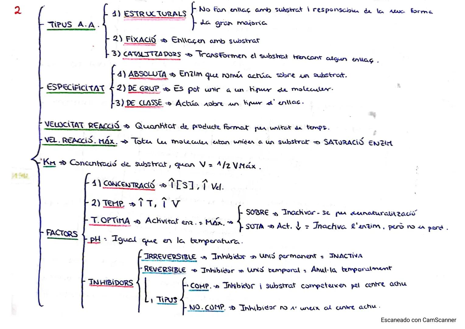1
- METABOLISME Conjunt de reaccions químiquer celulars.
- Reaccions controlades per BIUCATALITZADORS = ENZIMS Acceleren la reacció.
- FUNC.