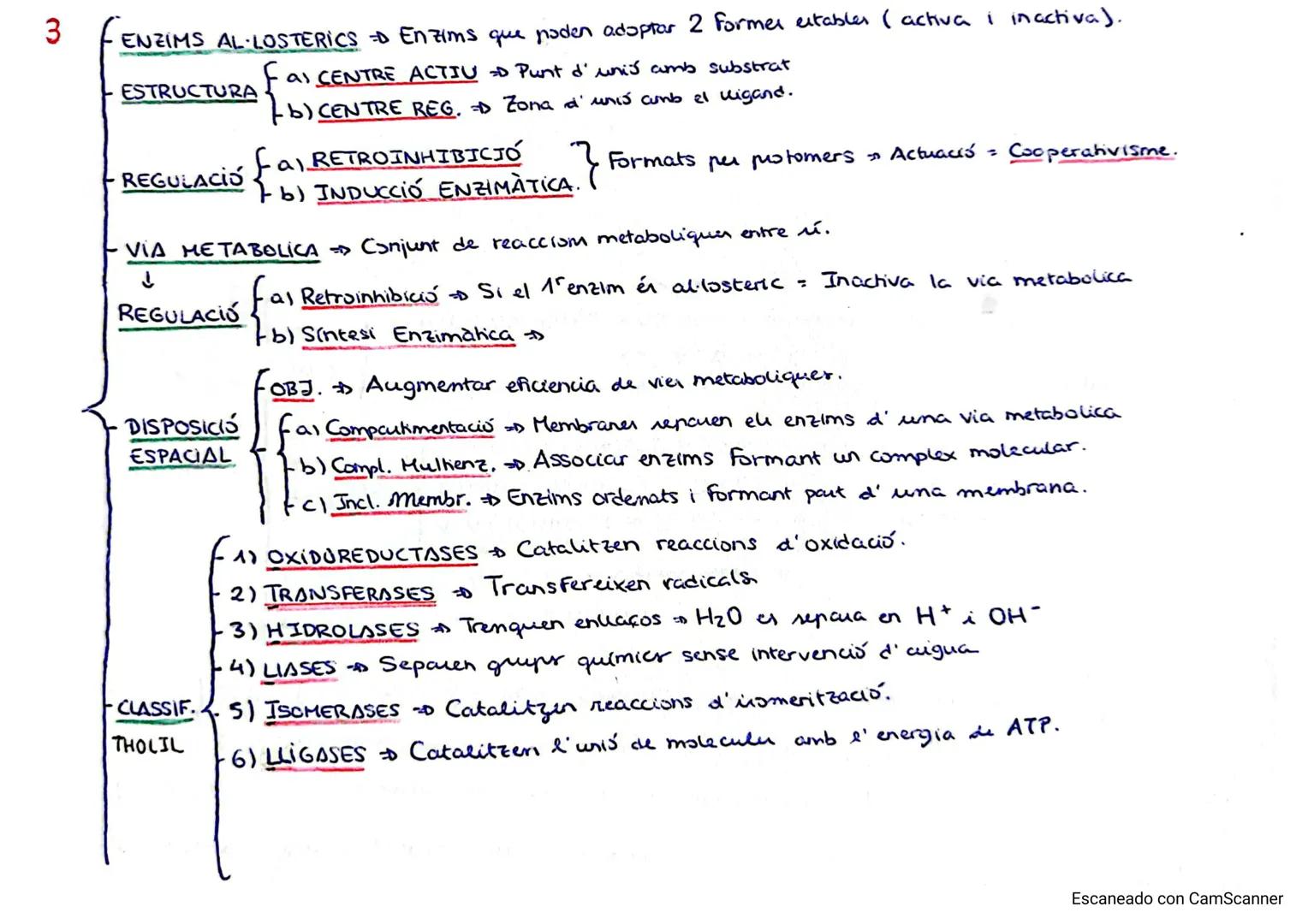 1
- METABOLISME Conjunt de reaccions químiquer celulars.
- Reaccions controlades per BIUCATALITZADORS = ENZIMS Acceleren la reacció.
- FUNC.