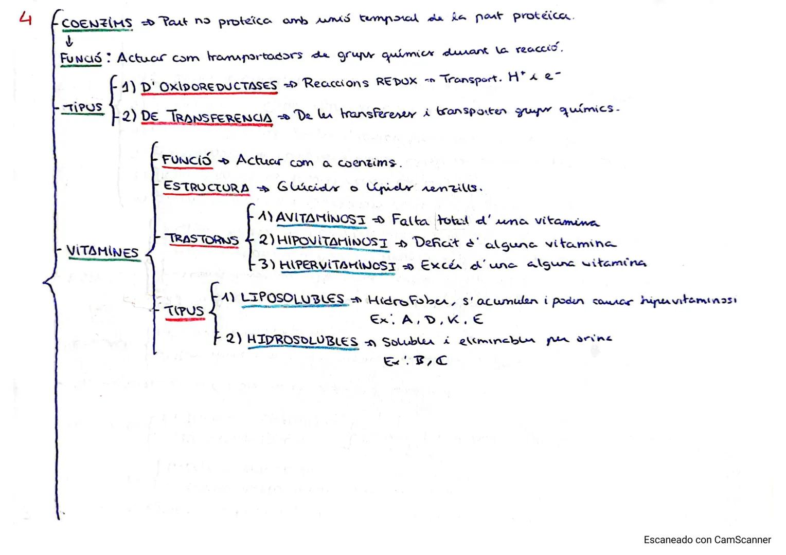1
- METABOLISME Conjunt de reaccions químiquer celulars.
- Reaccions controlades per BIUCATALITZADORS = ENZIMS Acceleren la reacció.
- FUNC.