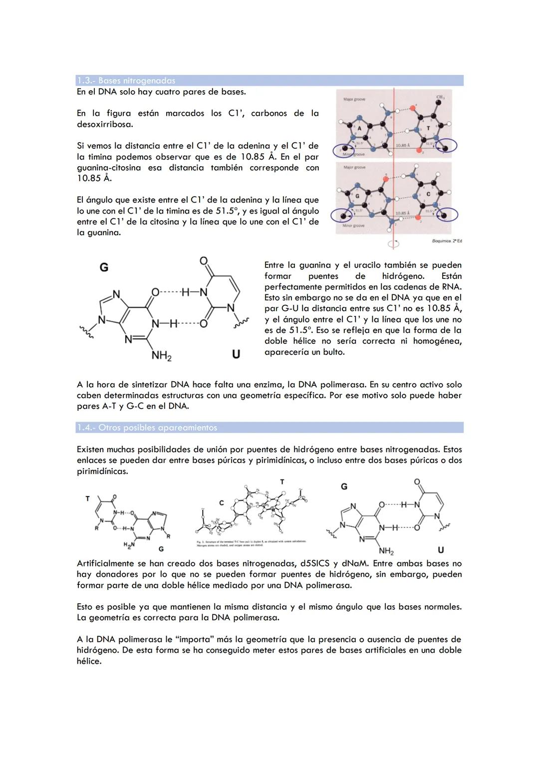 Tema 1. Estructura de ácidos nucleicos
1. ESTRUCTURA B DEL DNA
1.2. Características:
2 polinucleótidos se enrollan en torno a un eje común: 