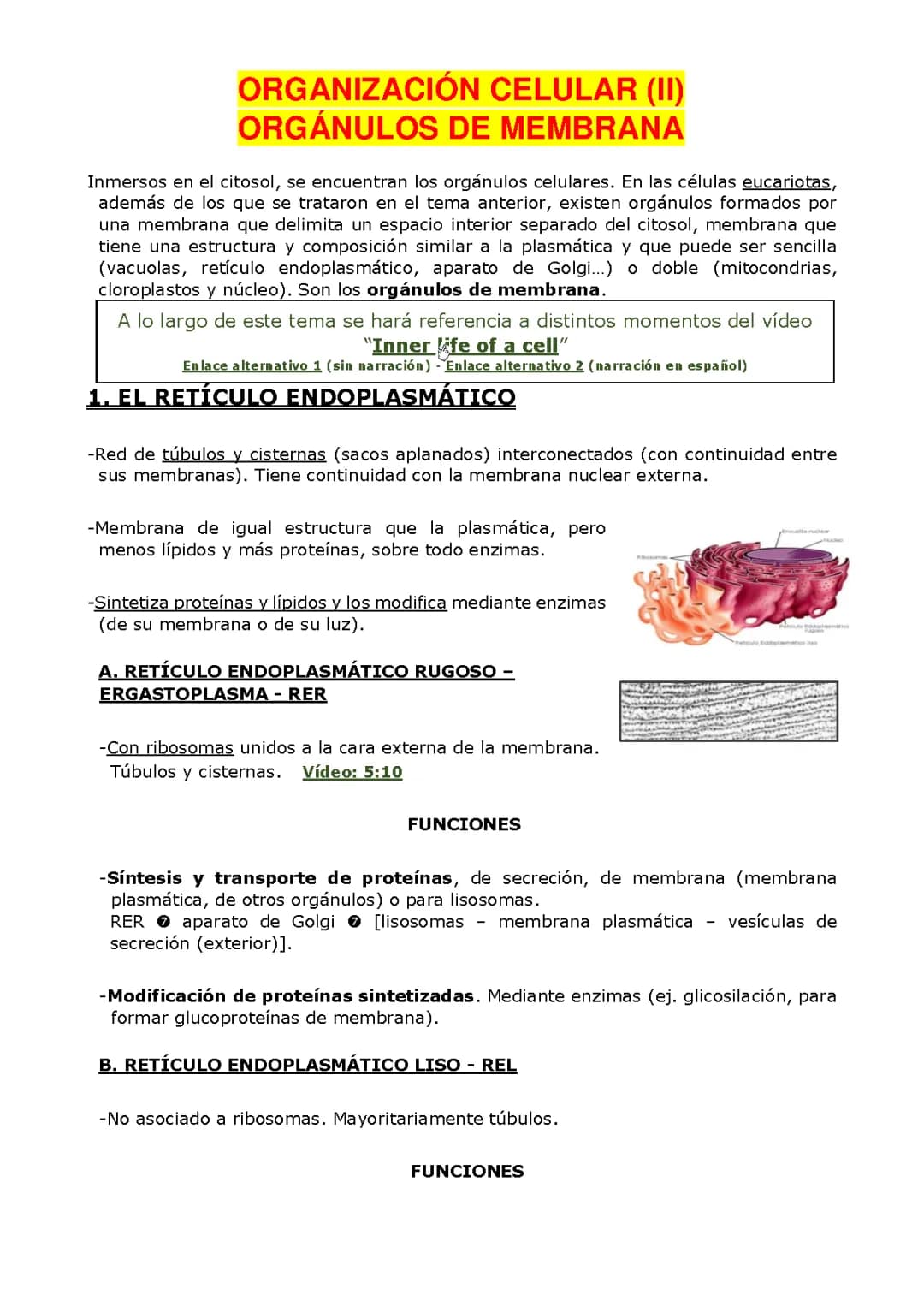 LA ORGANIZACIÓN CELULAR: LOS ORGÁNULOS DE LA MEMBRANA