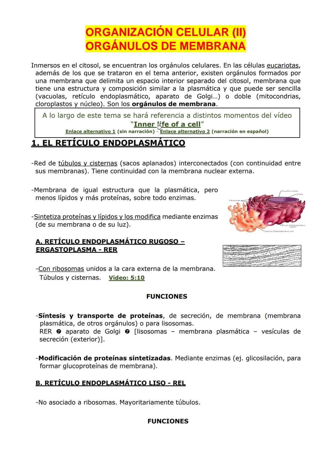 ORGANIZACIÓN
CELULAR (II)
ORGÁNULOS DE MEMBRANA
Inmersos en el citosol, se encuentran los orgánulos celulares. En las células eucariotas,
ad