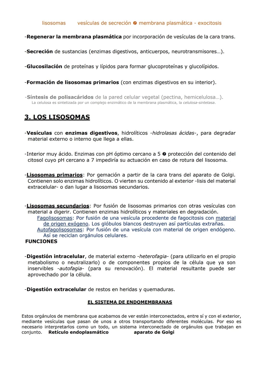 ORGANIZACIÓN
CELULAR (II)
ORGÁNULOS DE MEMBRANA
Inmersos en el citosol, se encuentran los orgánulos celulares. En las células eucariotas,
ad