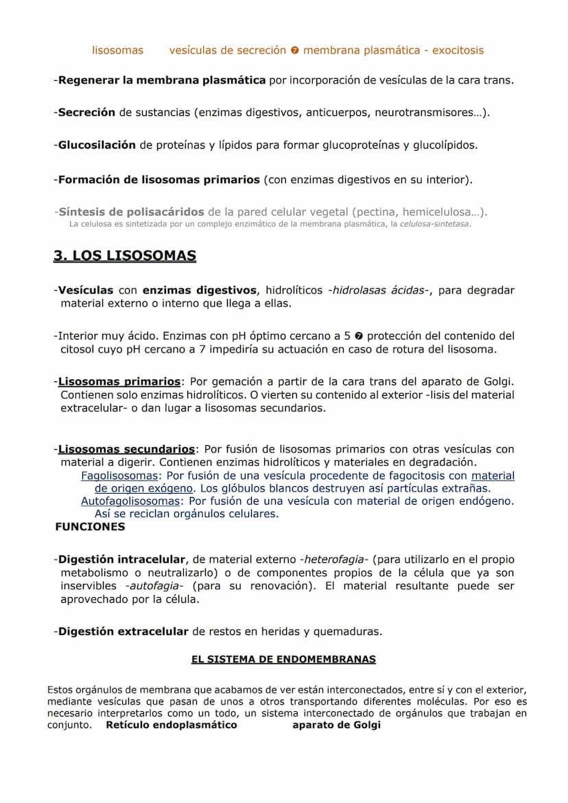 ORGANIZACIÓN
CELULAR (II)
ORGÁNULOS DE MEMBRANA
Inmersos en el citosol, se encuentran los orgánulos celulares. En las células eucariotas,
ad