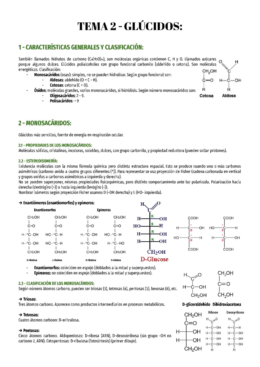 Tema 2 Biología