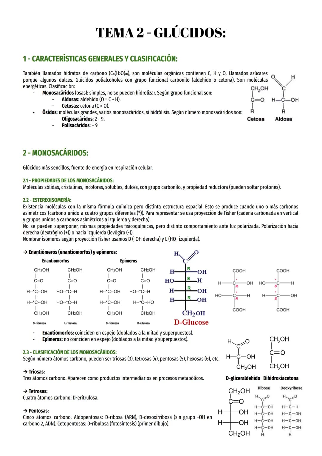 1- CARACTERÍSTICAS GENERALES Y CLASIFICACIÓN:
También llamados hidratos de carbono (Cn(H20)m), son moléculas orgánicas contienen C, H y O. L