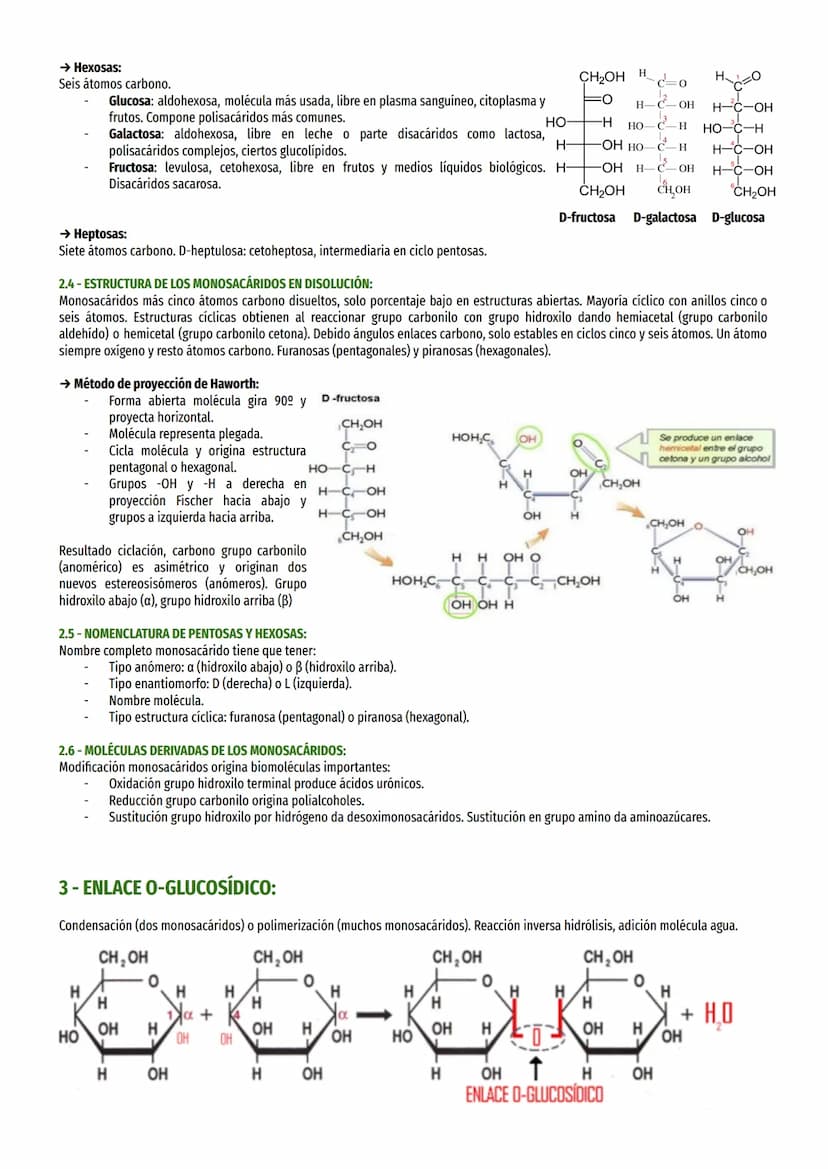 1- CARACTERÍSTICAS GENERALES Y CLASIFICACIÓN:
También llamados hidratos de carbono (Cn(H20)m), son moléculas orgánicas contienen C, H y O. L