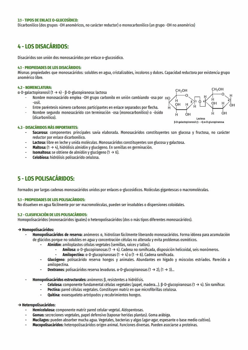 1- CARACTERÍSTICAS GENERALES Y CLASIFICACIÓN:
También llamados hidratos de carbono (Cn(H20)m), son moléculas orgánicas contienen C, H y O. L