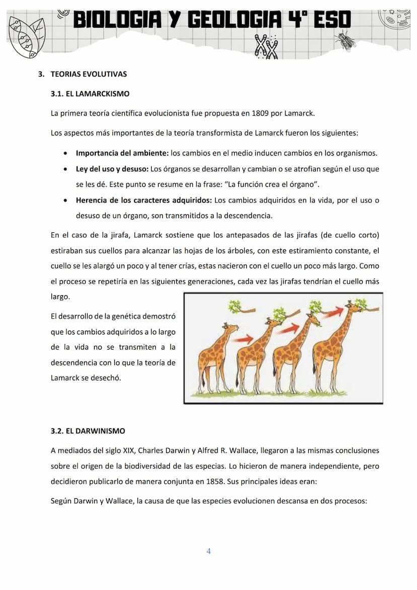 BIOLOGIA Y GEOLOGIA 4º ESO
SA 3: ORIGEN Y EVOLUCIÓN DE LOS SERES VIVOS
1. EL ORIGEN DE LA VIDA
Al observar la gran diversidad de la vida, la