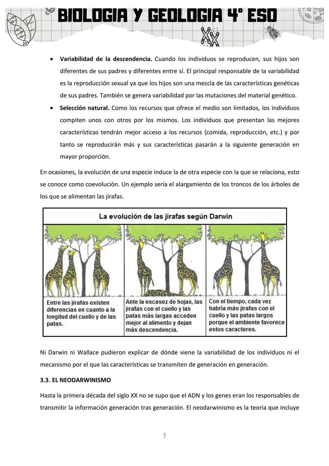 BIOLOGIA Y GEOLOGIA 4º ESO
SA 3: ORIGEN Y EVOLUCIÓN DE LOS SERES VIVOS
1. EL ORIGEN DE LA VIDA
Al observar la gran diversidad de la vida, la