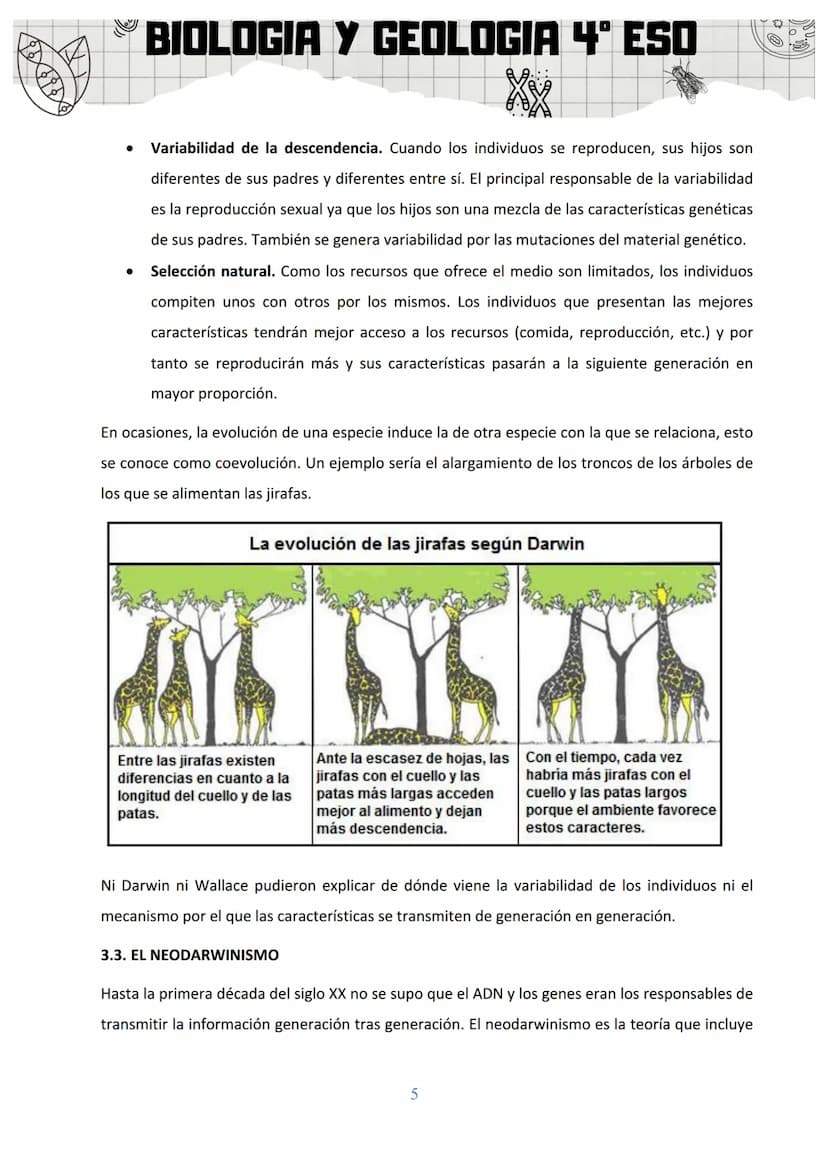 BIOLOGIA Y GEOLOGIA 4º ESO
SA 3: ORIGEN Y EVOLUCIÓN DE LOS SERES VIVOS
1. EL ORIGEN DE LA VIDA
Al observar la gran diversidad de la vida, la