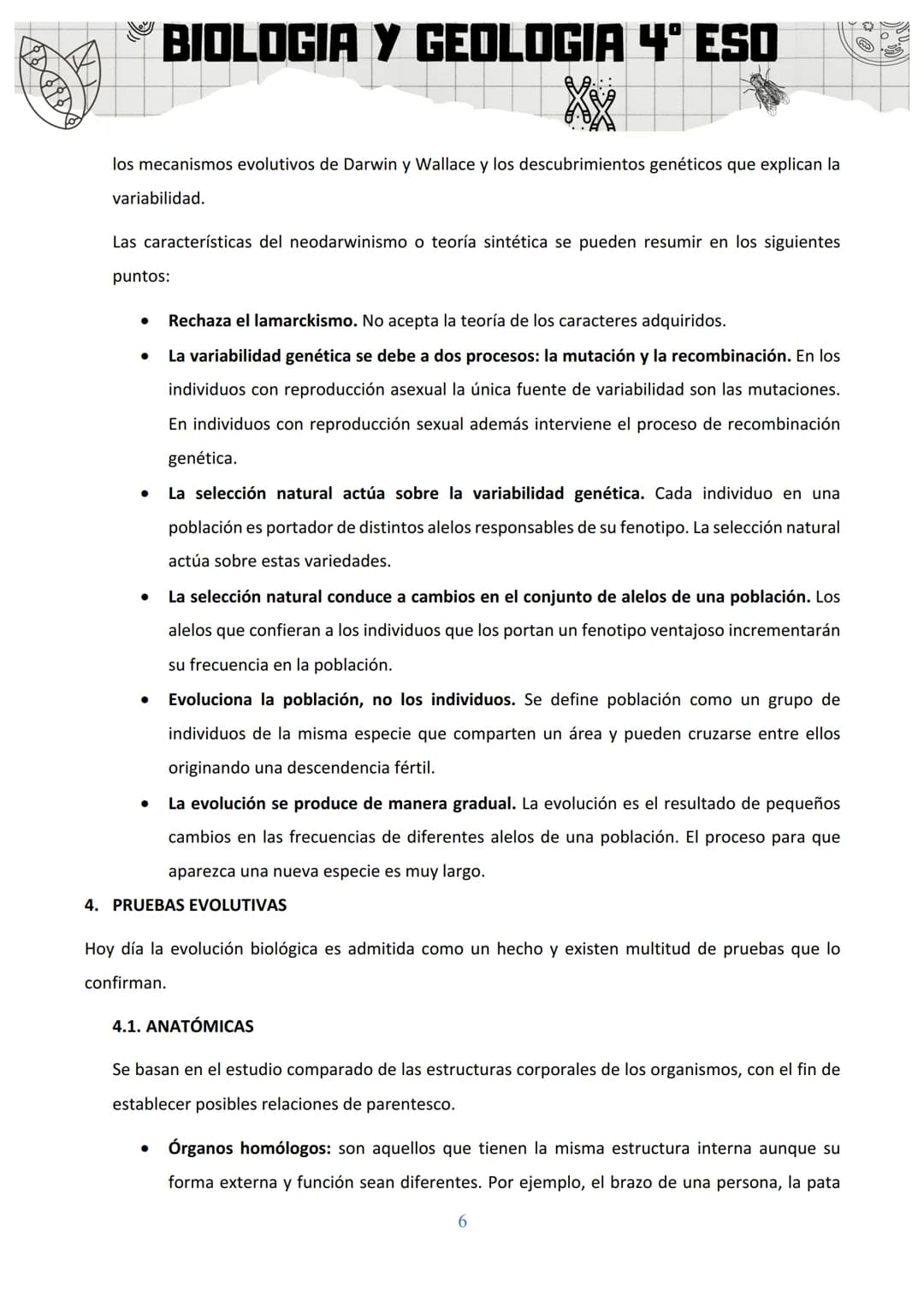BIOLOGIA Y GEOLOGIA 4º ESO
SA 3: ORIGEN Y EVOLUCIÓN DE LOS SERES VIVOS
1. EL ORIGEN DE LA VIDA
Al observar la gran diversidad de la vida, la