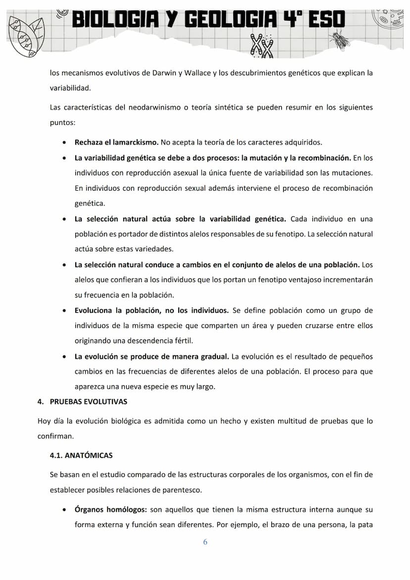 BIOLOGIA Y GEOLOGIA 4º ESO
SA 3: ORIGEN Y EVOLUCIÓN DE LOS SERES VIVOS
1. EL ORIGEN DE LA VIDA
Al observar la gran diversidad de la vida, la