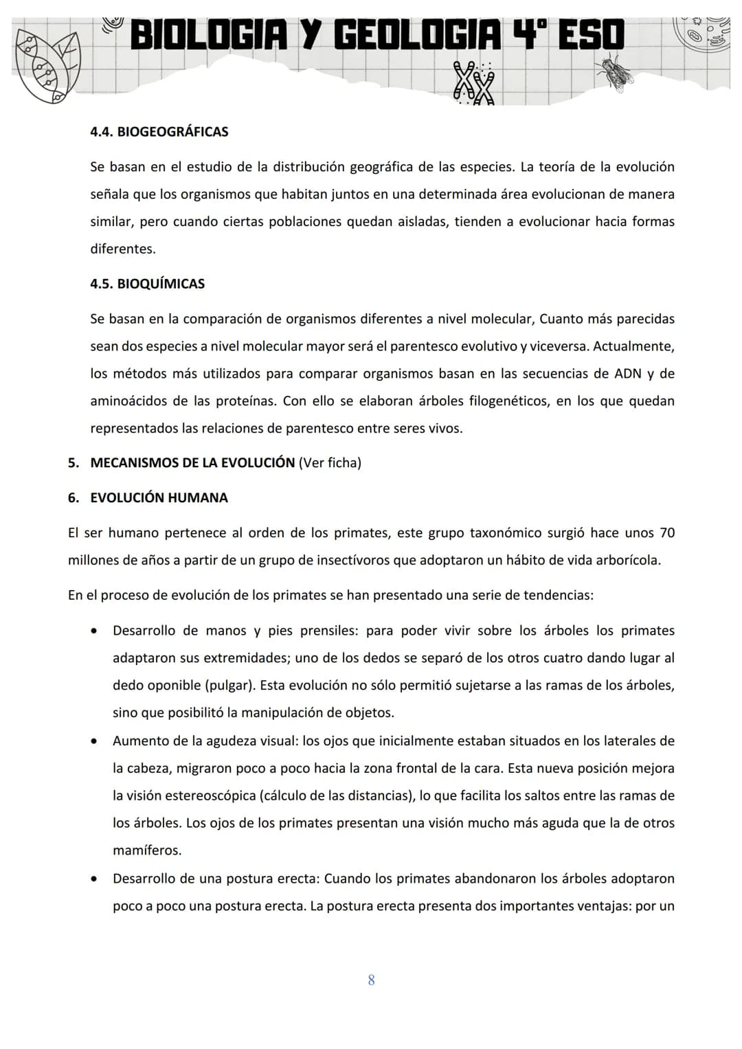 BIOLOGIA Y GEOLOGIA 4º ESO
SA 3: ORIGEN Y EVOLUCIÓN DE LOS SERES VIVOS
1. EL ORIGEN DE LA VIDA
Al observar la gran diversidad de la vida, la