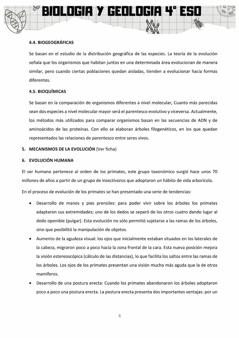 BIOLOGIA Y GEOLOGIA 4º ESO
SA 3: ORIGEN Y EVOLUCIÓN DE LOS SERES VIVOS
1. EL ORIGEN DE LA VIDA
Al observar la gran diversidad de la vida, la